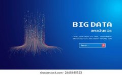 <b>技术咨询与平台应用指导</b>